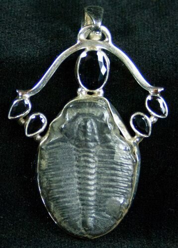 Sterling Silver Elrathia Trilobite Pendant #7041